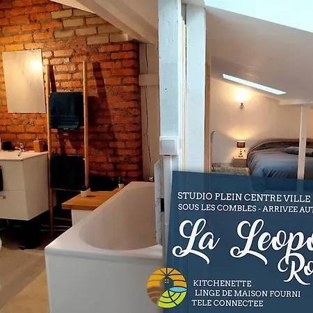 Leopold 30m2 Hyper Centre, Netflix & Wi-fi Апартаменты Эпиналь